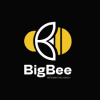 Big Bee Consultant