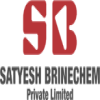 Satyesh Brinechem